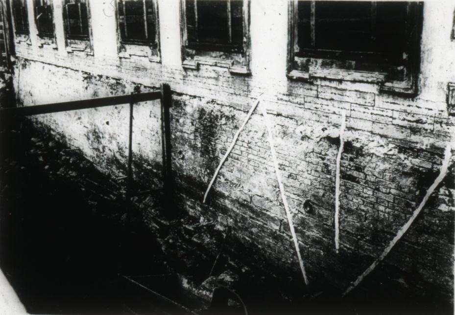 4 Гаванец — ил. 36