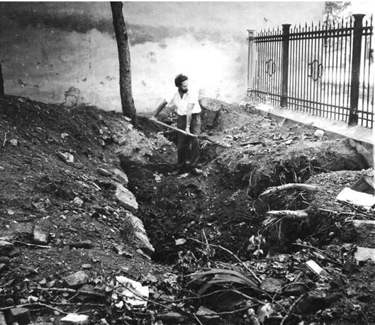 Илл. 10. Археолог Коренцвит В. А. Раскопки Бонова дома на месте поваленного бурей дерева. 1987 г.