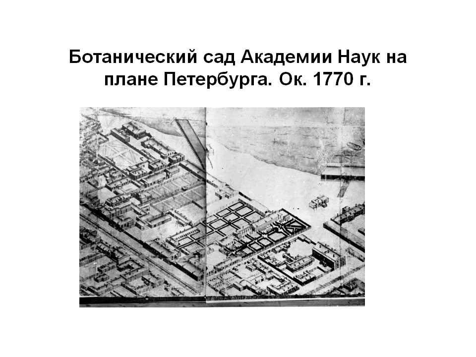 Бонов дом
